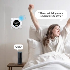 Kamer Vloerverwarming Thermostaat Wifi Alexa